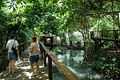 0807 Wildlife Habitat Port Douglas
